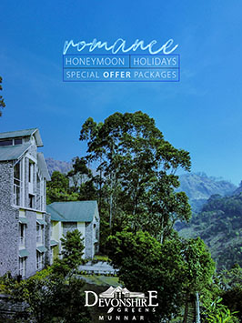 4 star hotels in munnar